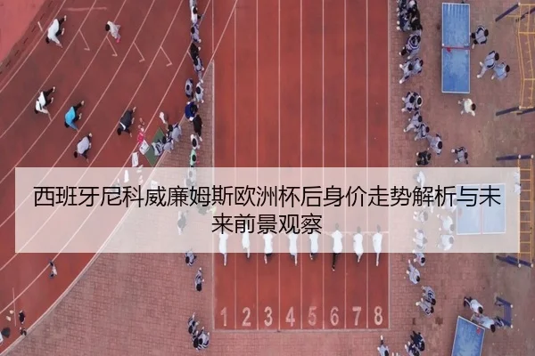 西班牙尼科威廉姆斯欧洲杯后身价走势解析与未来前景观察